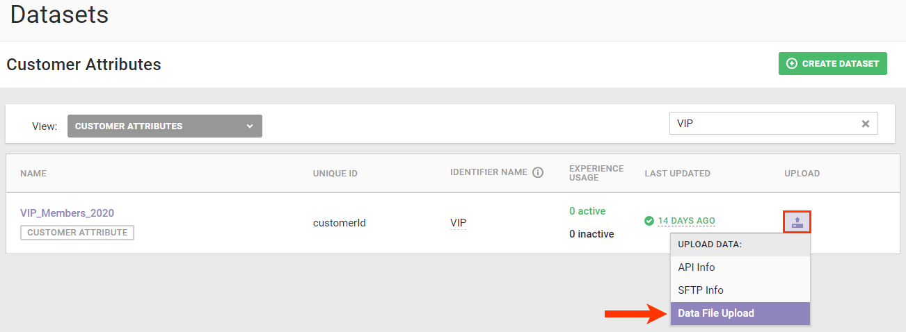 Callout of the upload icon and the 'Data File Upload' option for a dataset entry on the Customer Attributes list page