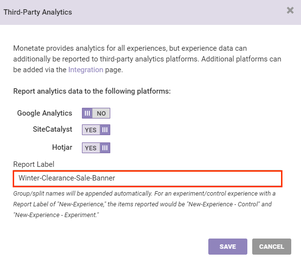 Callout of the 'Report Label' field on the 'Third-Party Analytics' modal