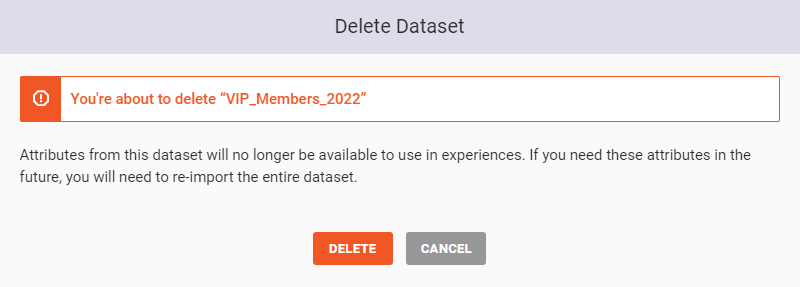 The 'Delete Dataset' modal for a customer dataset not used in any experiences. The warning reads, 'Attributes from this dataset will no longer be available to use in experiences. If you need these attributes in the future, you will need to re-import the entire dataset.'