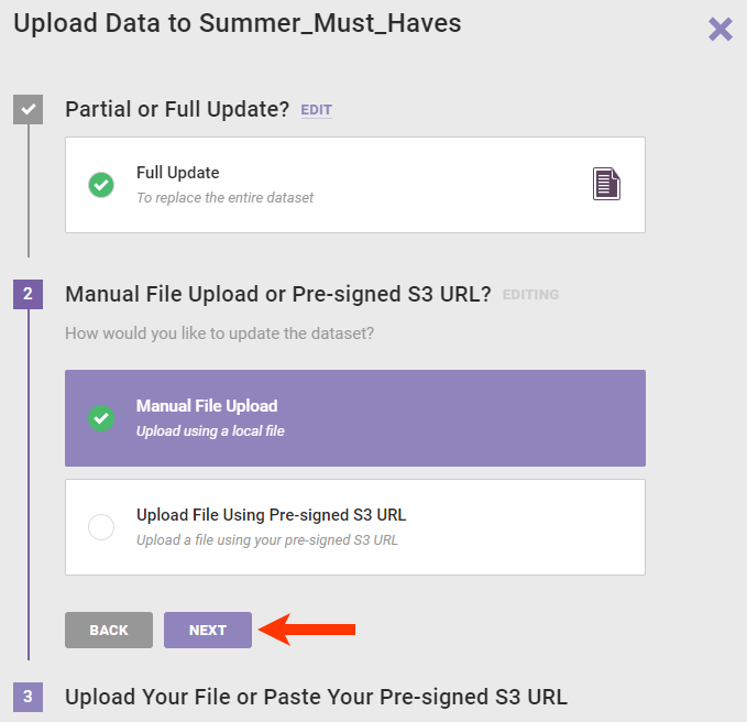 Step 2 of the Update Data wizard, with 'Manual File Upload' selected and a callout of the NEXT button