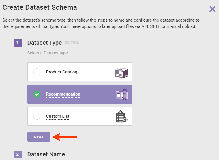 Step 1 of the Create Dataset Schema wizard, with Recommendation selected and a callout of the NEXT button