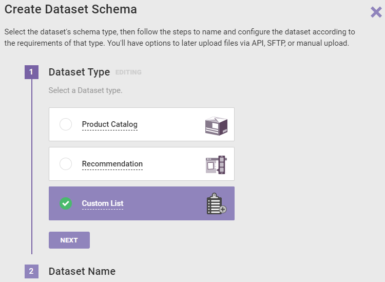 Step 1 of the Create Dataset Schema wizard, with 'Custom List' selected and a callout of the NEXT button