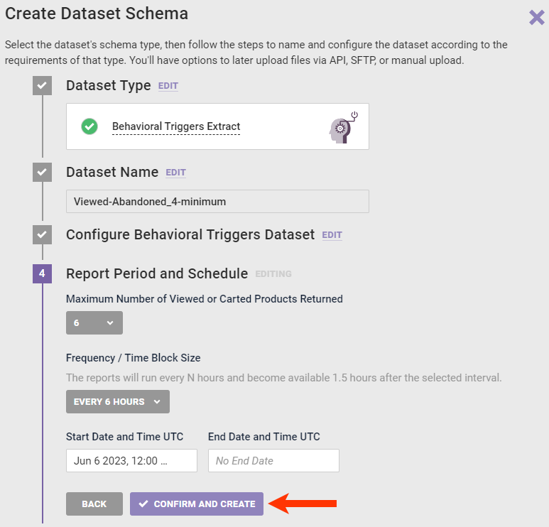 Callout of the 'CONFIRM AND CREATE' button in the Create Dataset Schema wizard