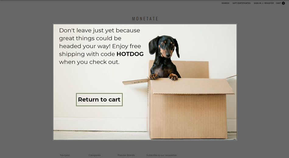 A image-based lightbox with a discount offer code appears atop the cart page of an online retail site