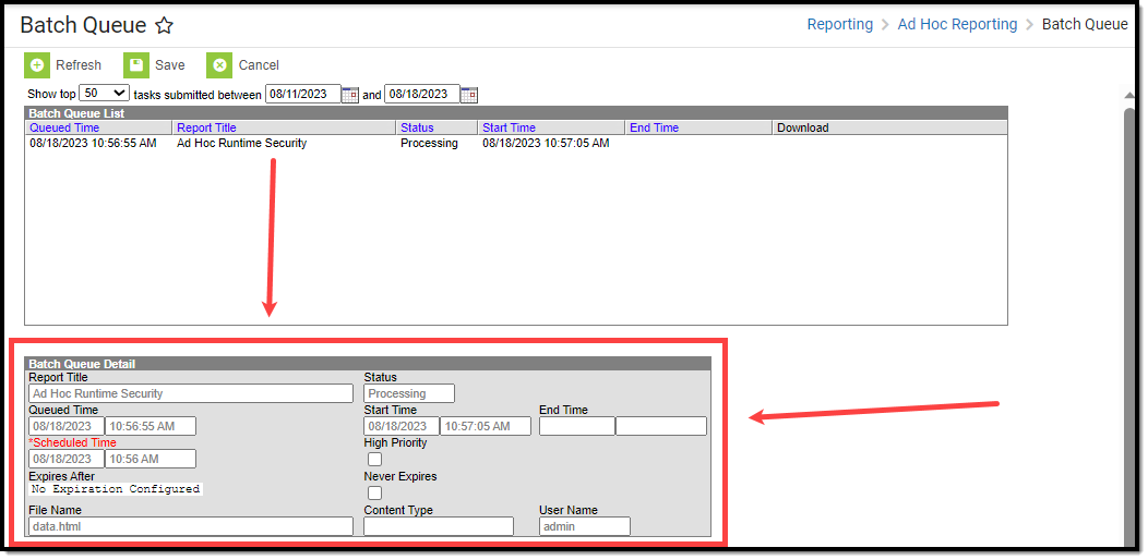 screenshot of selecting a report in the batch queue and viewing details about the report processing or completed