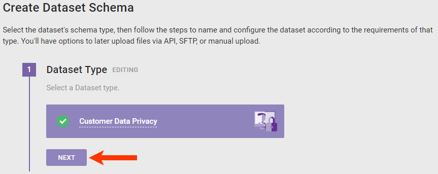 Step 1 of the 'Create Dataset Schema' wizard, with the 'Customer Data Privacy' option selected and a callout of the NEXT button