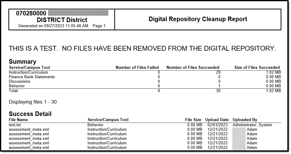 Screenshot of the test Digital Repository Cleanup report in PDF format with details.