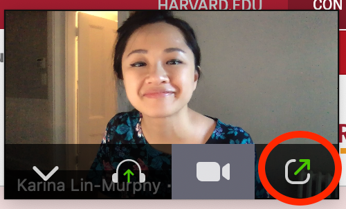 exit minimized video button in zoom