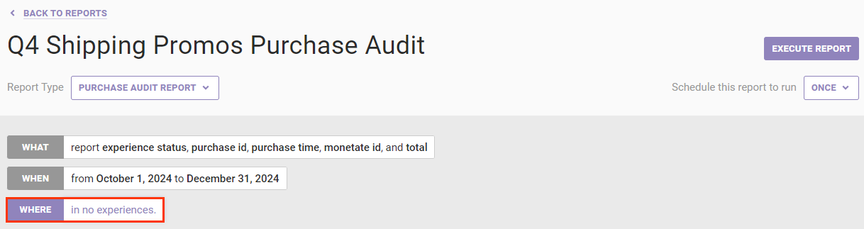 Callout of the WHERE settings for a Purchase Audit Report on the Create Report page