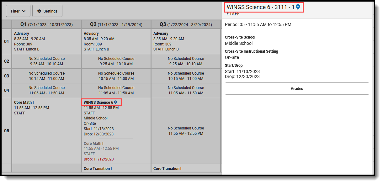 Screenshot of the Schedule Term View with Cross-Site Courses