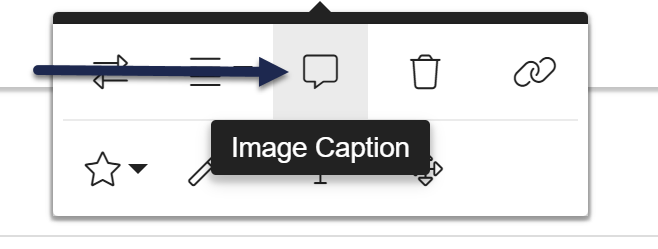 Screenshot of the Image Caption button in Modern Editor