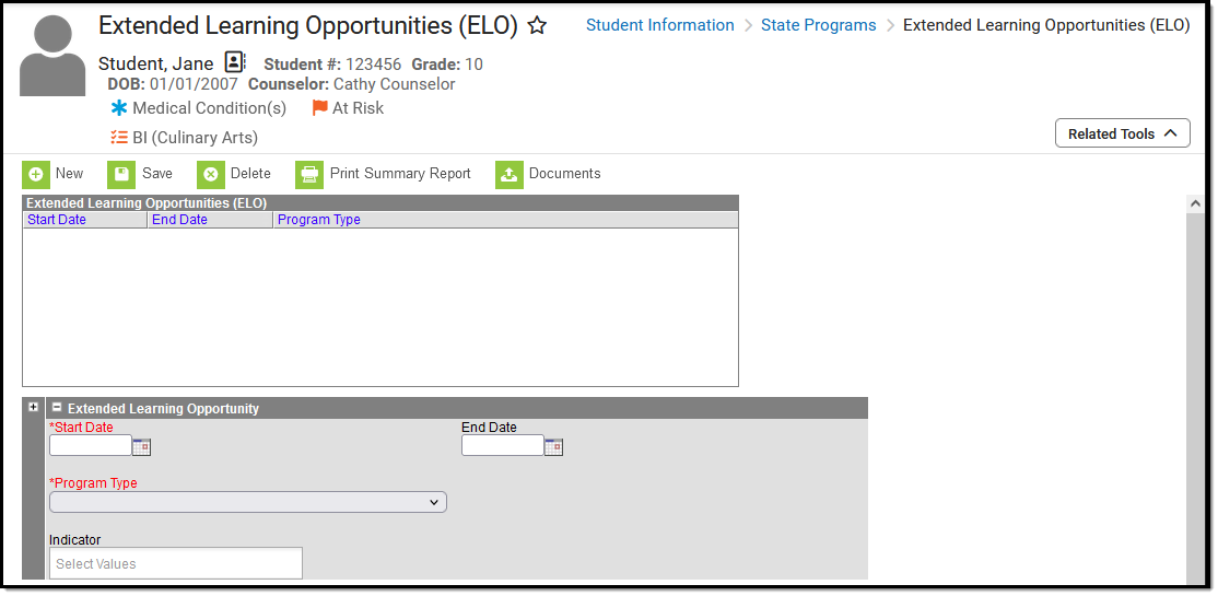 Screenshot of the Extended Learning Opportunities (ELO) Editor.