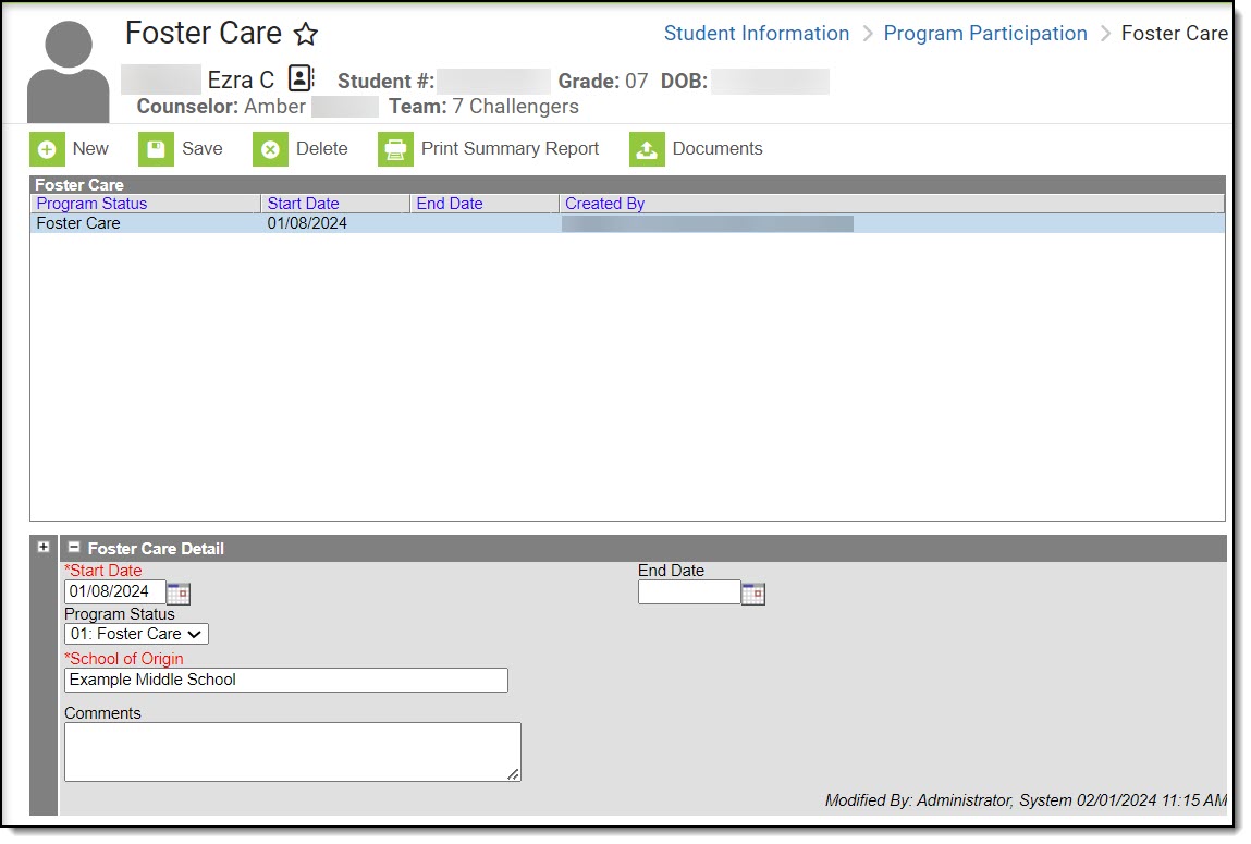 Screenshot of the Missouri Foster Care tool with the detail screen open below the list of records.
