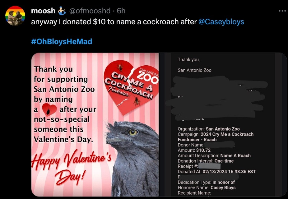 Twitter user: moosh @ofmooshd Text: anyway I donation $10 to name a cockroach after @CaseyBloys  #OhBloysHeMad Image Description: Thank you for supporting San Antonio Zoo by naming a cockroach after your not-so-special someone this Valentine's Day. Happy Valentine's Day!