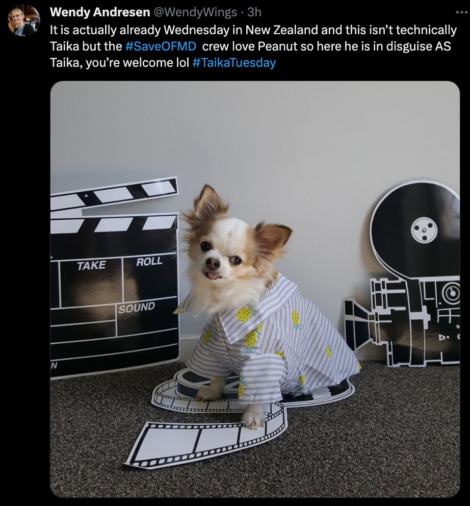 Twitter User: Wendy Andersen @WendyWings It is actually already Wednesday in New Zealand and this isn't technically Taika but the #SaveOFMD crew love Peanut so here he is in disguise AS Taika, you're welcome lol #TaikaTuesday.  Image Description: A fluffy white and brown dog wears a pineapple button down shirt surrounded by mock film equipment