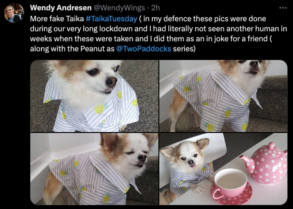 Twitter user: Wendy Andresen @WendyWings More fake Taika #TaikaTuesday (in my defense these pics were done during out very long lockdown and I had literally not seen another human in weeks when these were taken and I did them as an in joke for a friend (along with the Peanut as @TwoPadocks series))