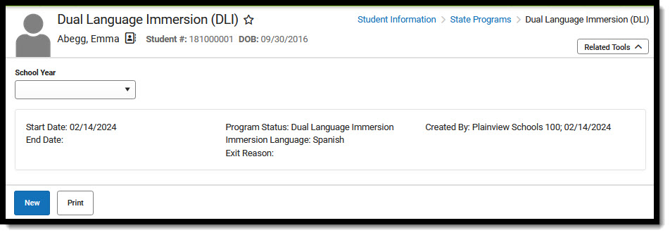 Screenshot of Dual Language Immersion tool with a record summary displaying in the editor.