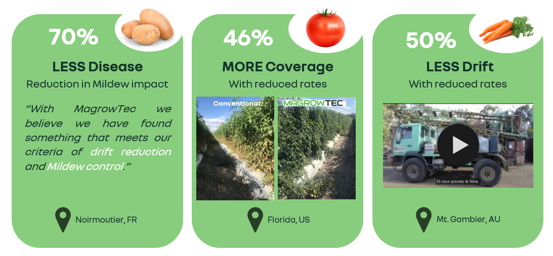 A green rectangular banners with pictures of food and fruitsDescription automatically generated with medium confidence