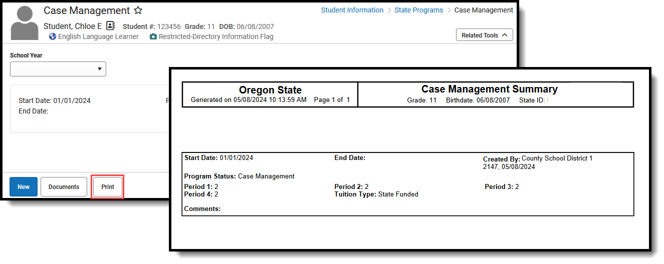 Screenshot of the Case Management Print Summary. in PDF Format. 