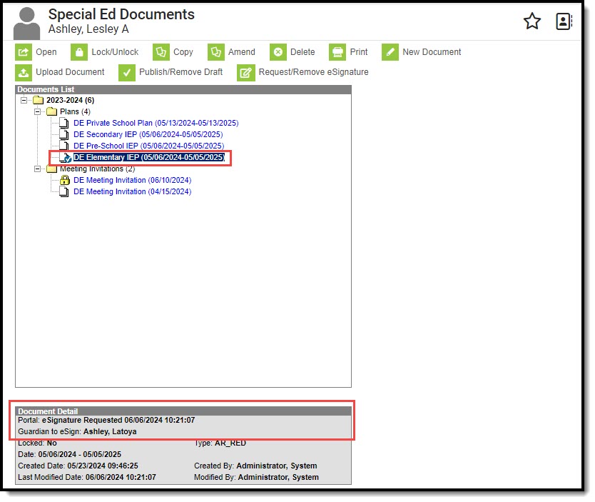 Screenshot of the document detail checkmark icon and document detail eSignature information.