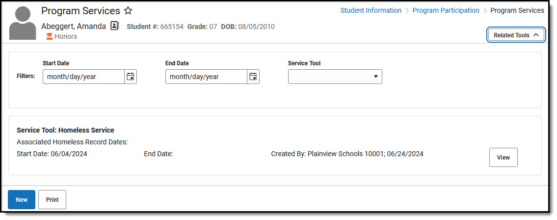 Screenshot of Program Services tool with one saved record displaying.