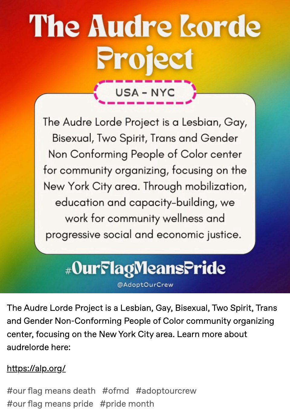 The Audre Lorde Project is a Lesbian, Gay, Bisexual, Two Spirit, Trans and Gender Non-Conforming People of Color community organizing center, focusing on the New York City area. Learn more about audrelorde here:   https://alp.org/