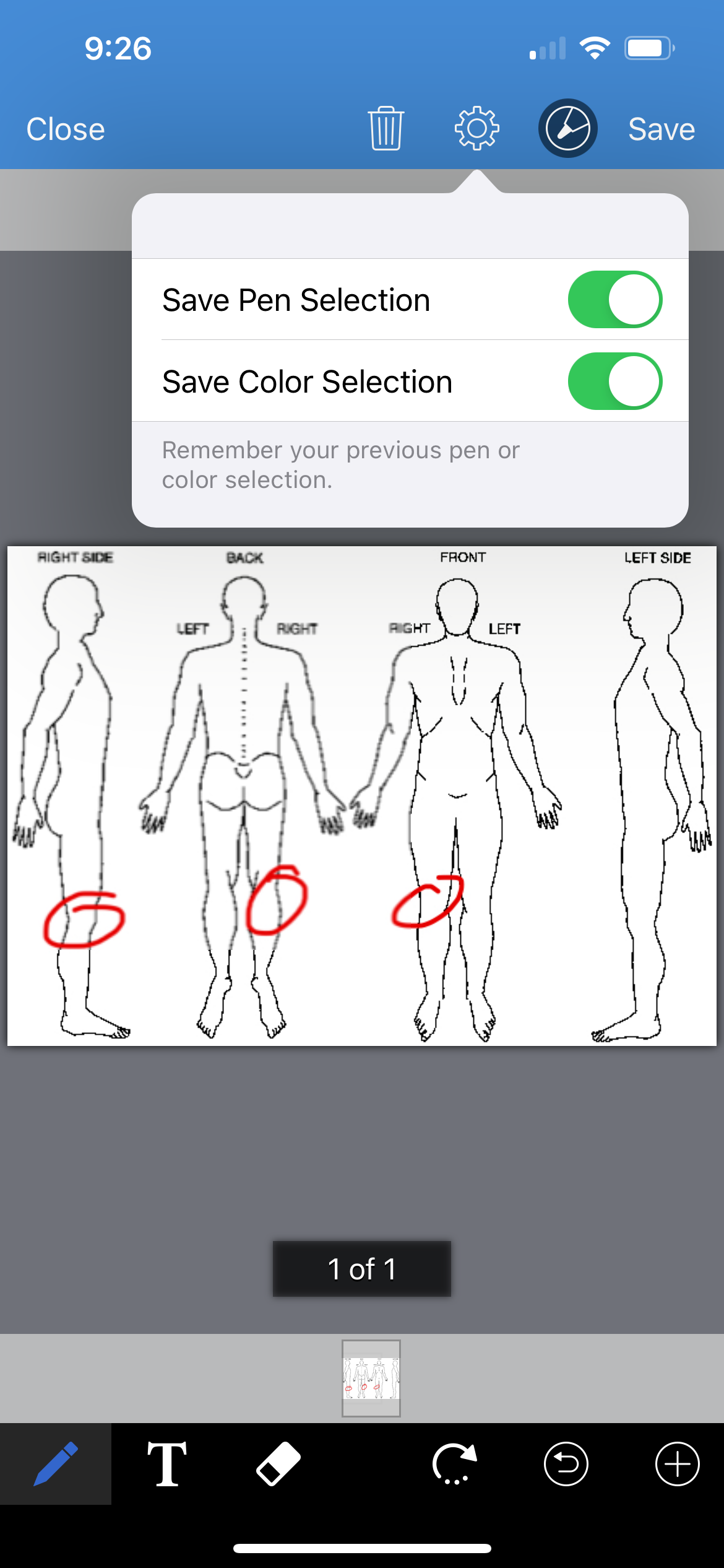 iPhone Save Pen and Color Selection.PNG