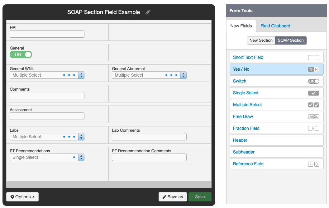 SOAP_Section_Sample_form.png