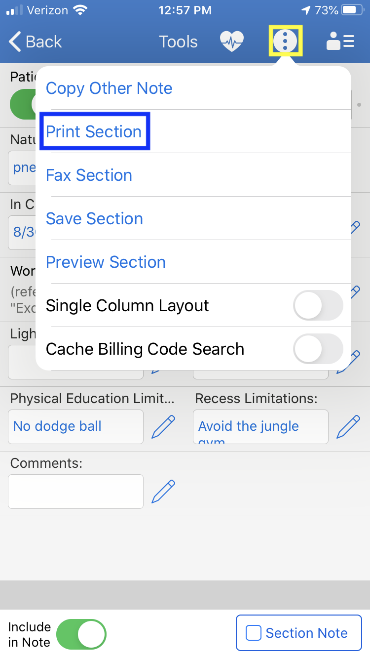 Print_Section_iOS_App_Print_Menu.PNG