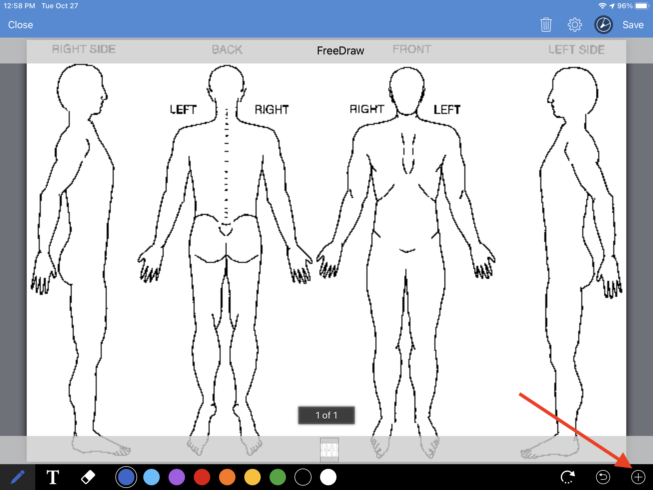 EHR_App_Free_Draw_Diagram_.PNG