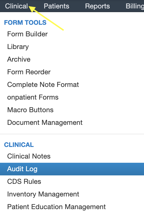 Clinical_Audit_Log.png