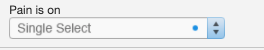 Form_Tools_Single_Select_Example.png