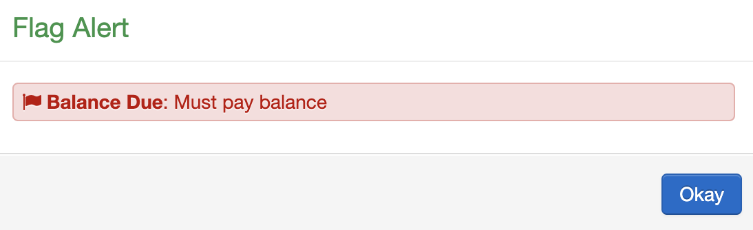 Balance Due Flag Alert Example.png