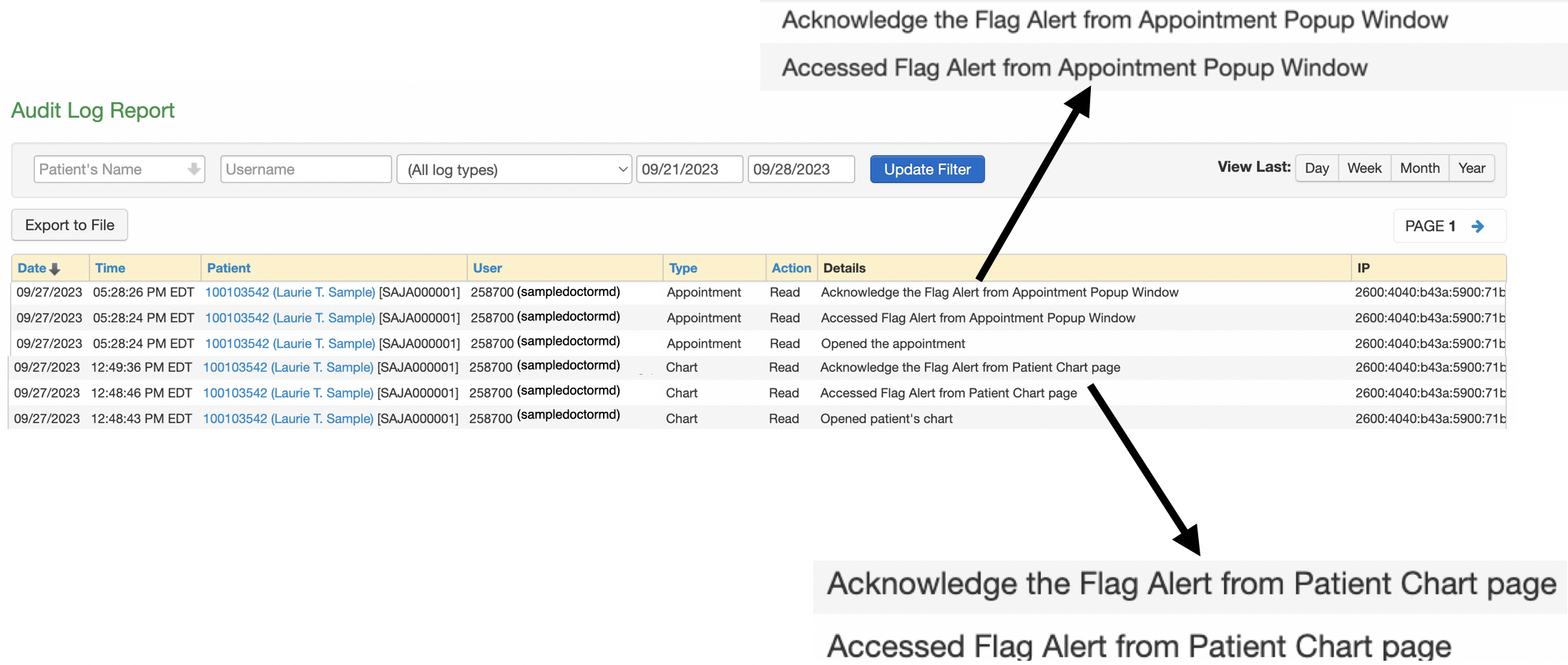 Audit Log Patient Flag Alert Enlarged Chart and Appointment Window.png