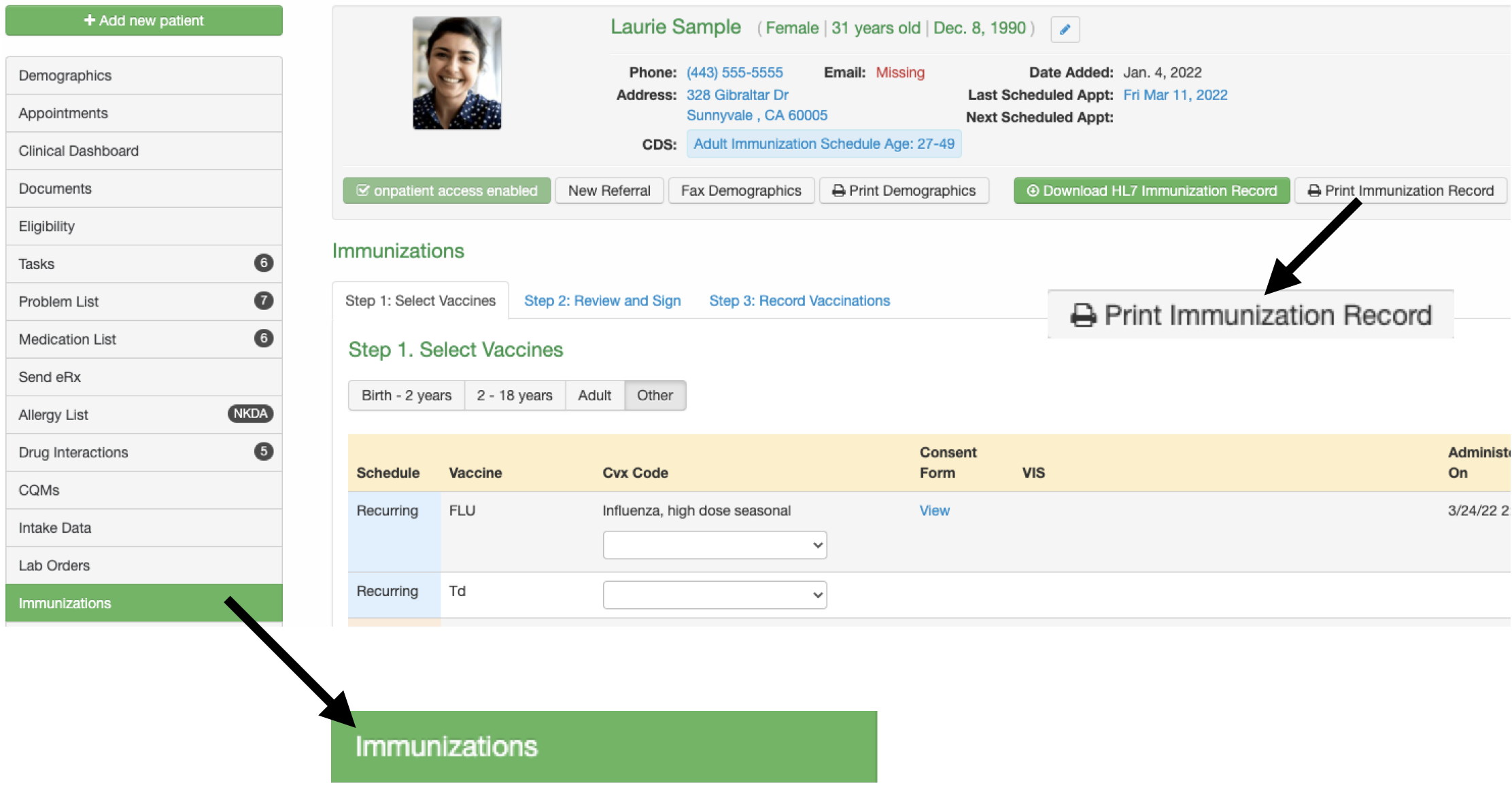 Chart_Immunization_Print_Record_Enlarged.png