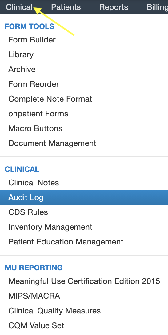 Clinical_Audit_Log.png