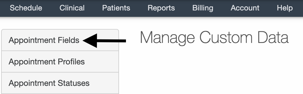 Custom_Fields_Appointment_Fields.png