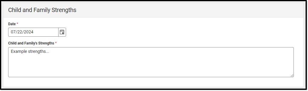 Screenshot of the Child and Family Strengths Detail Screen.