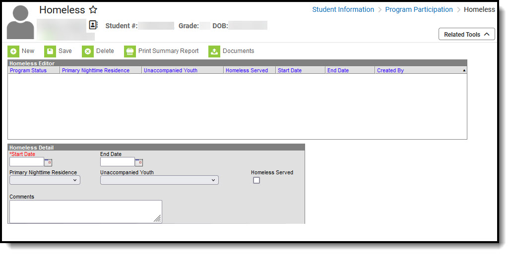 Screenshot of the fields in the Homeless tool.