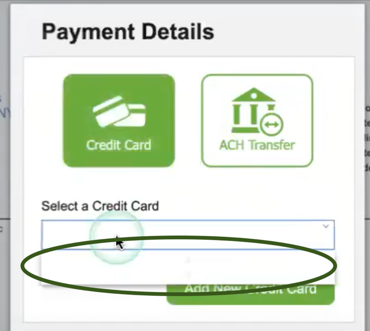 A screen shot of a credit cardDescription automatically generated