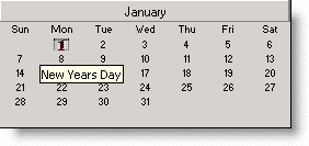 A screenshot of a calendarDescription automatically generated