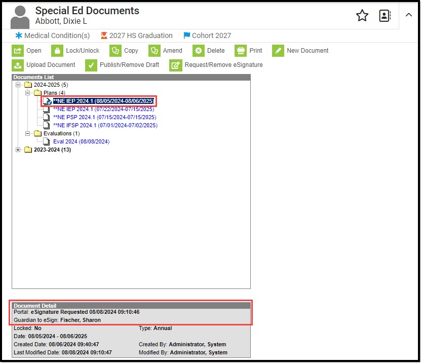 Screenshot of the document detail checkmark icon and document detail eSignature information.