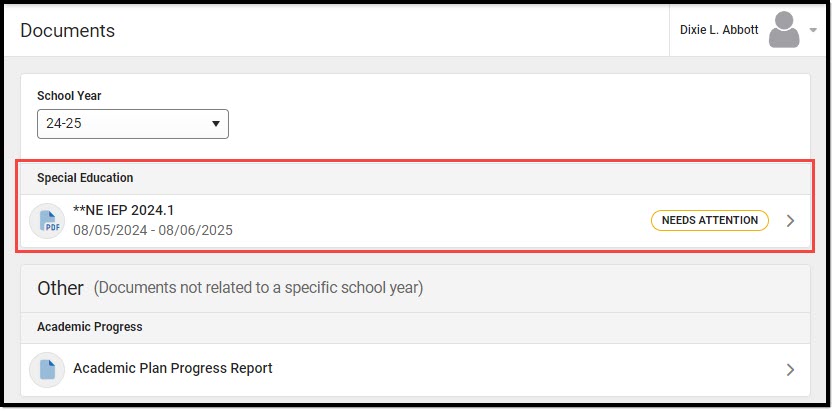 Screenshot of the pan needs attention status on Documents tool.