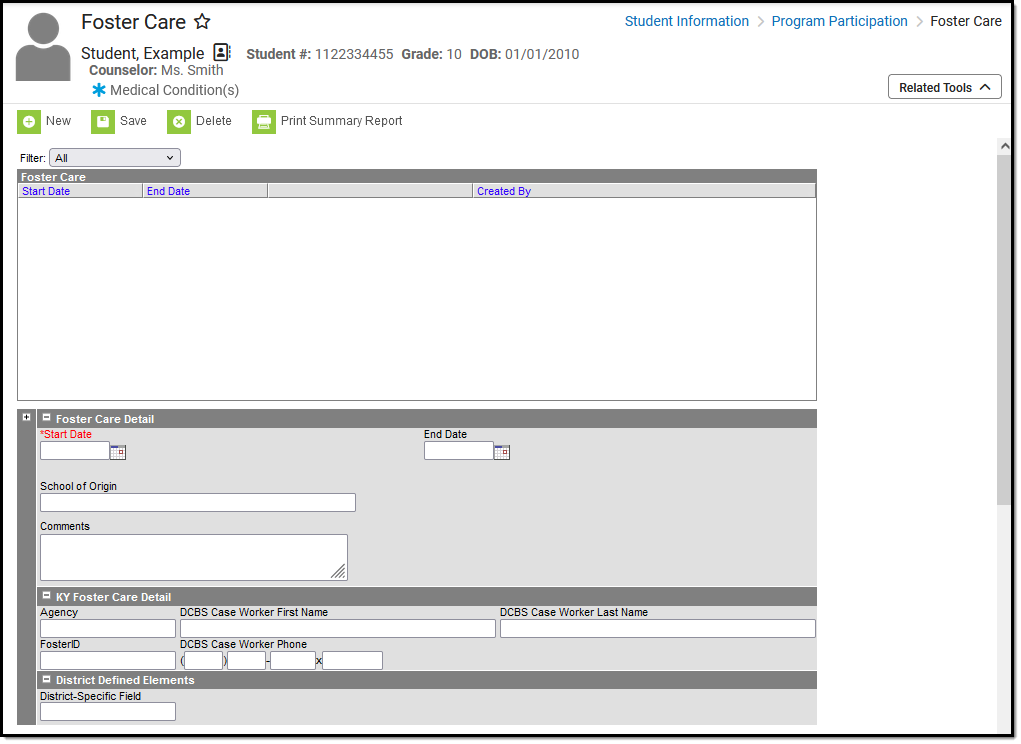 Screenshot of the Foster Care tool.