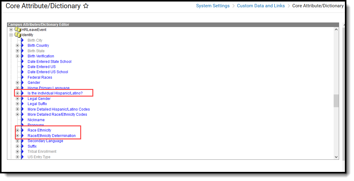 Screenshot highlighting the Race/Ethnicity fields in the Core Attribute/Dictionary.