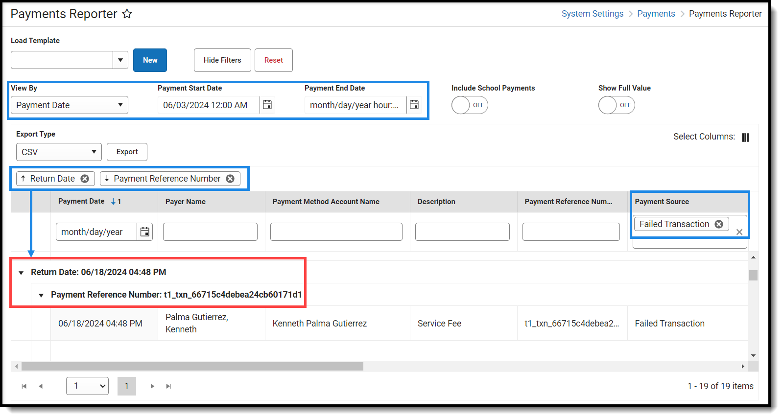 Screenshot of options used in the Payments Reporter to view returned and declined payments.