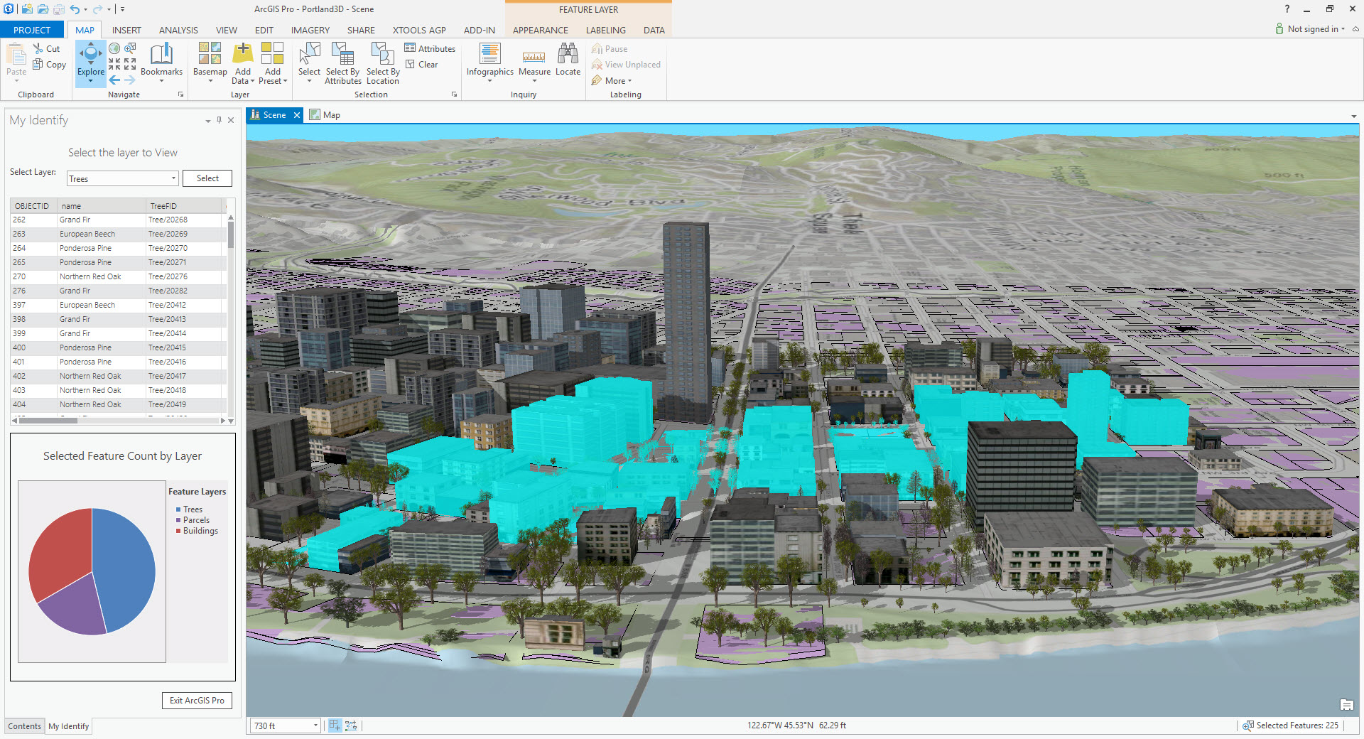 screenshot of the arcgis pro interface