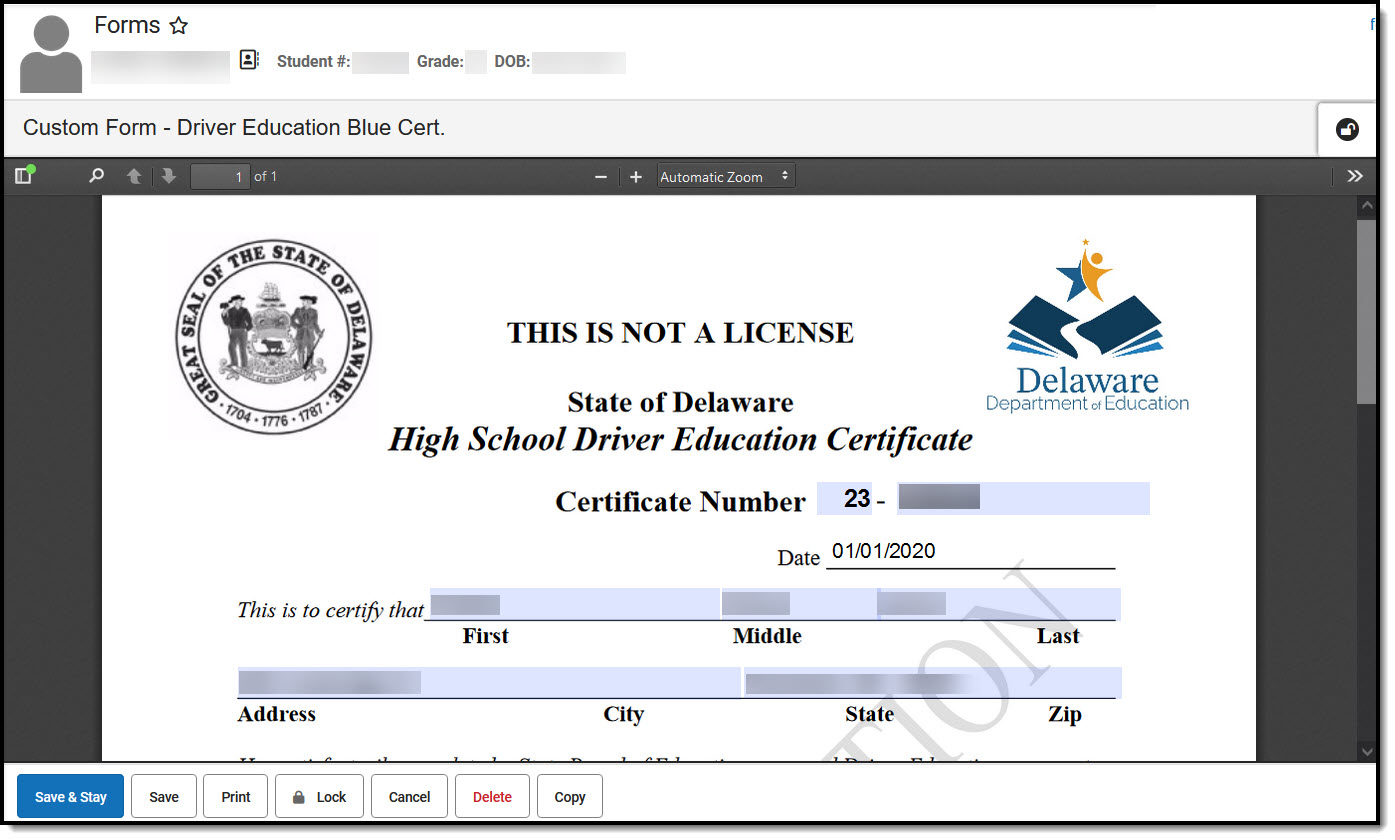 Screenshot of the Custom Form - Driver's Education Certificate