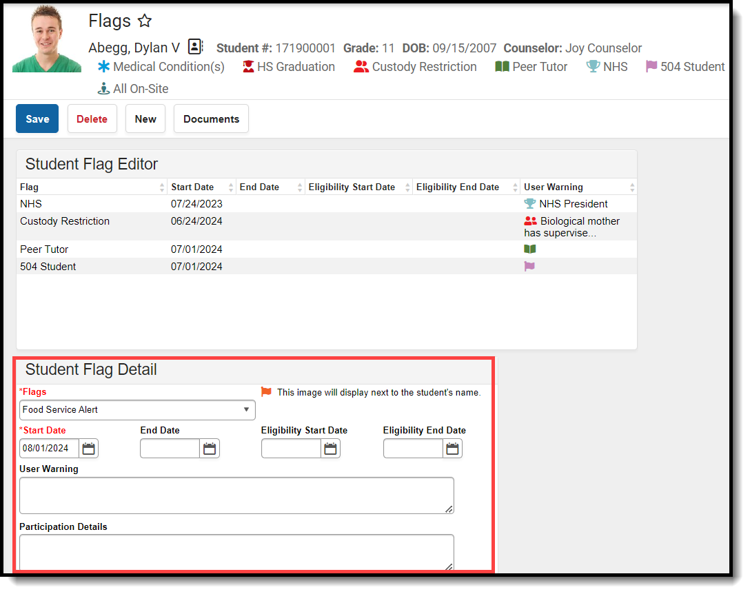 Screenshot of the flags button and student flag detail fields.