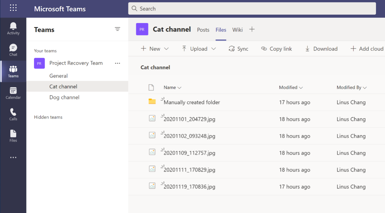 screenshot of the files tab within microsoft teams